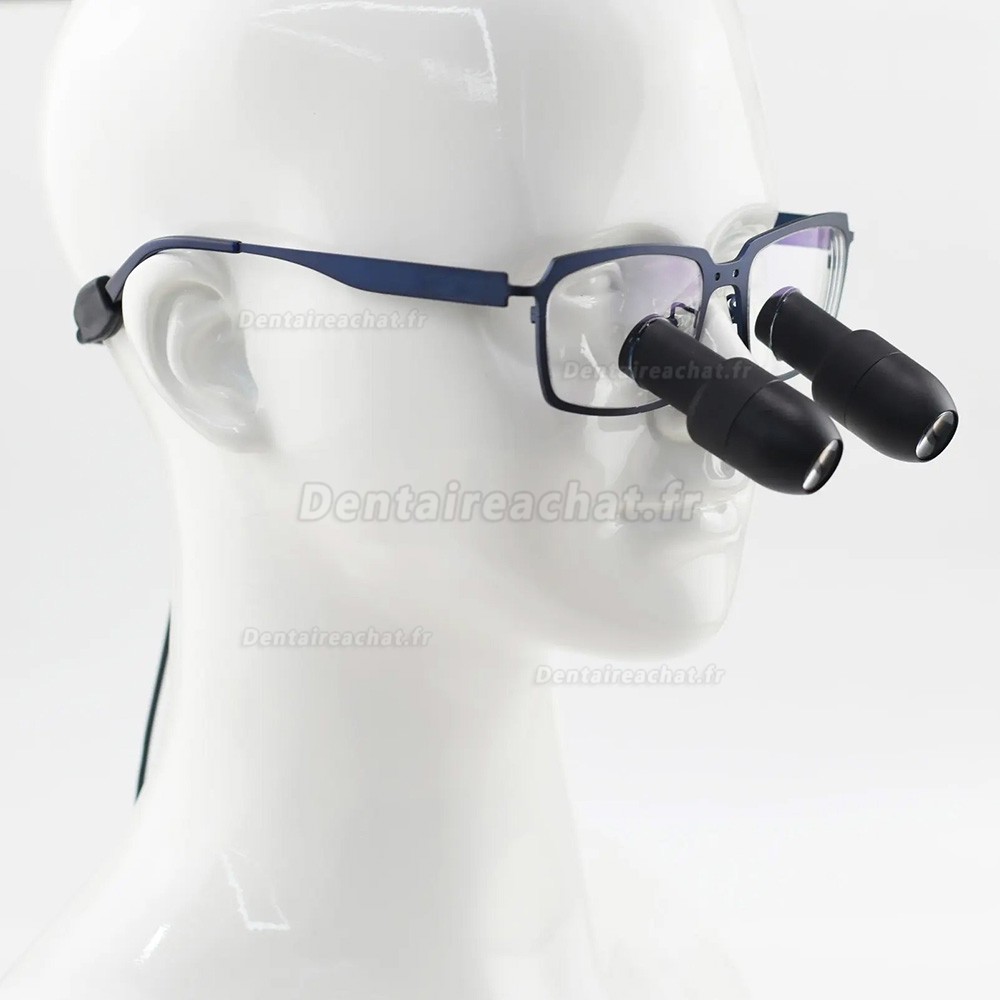 Loupes prismatiques dentaires Micare GNHM 4.0X/5.0X/6.0X TTL,Loupe binoculaire chirurgicale